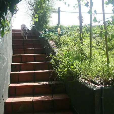 Casa Miralta Gasthof *